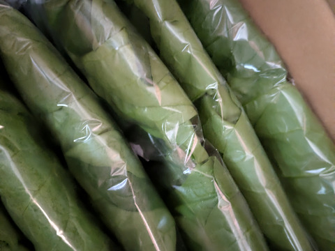 魂のほうれん草 7袋（1kg）