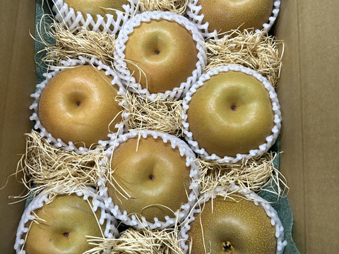 大人気！甘味と酸味が絶妙な豊水梨　3㎏