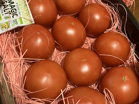 ～春夏秋冬～秋のトマトも楽しみましょう！ぜいたくトマト《秋の陣》