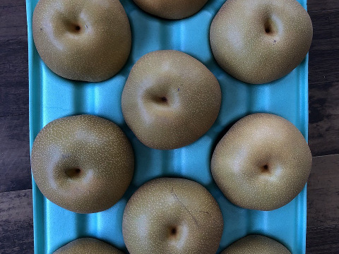 豊水　家庭用5㎏超特大9玉