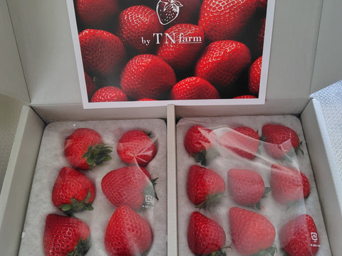 完熟あまりん！数量限定！順次発送！！