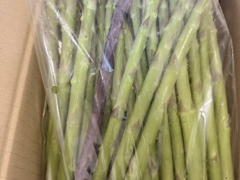 【朝採】アスパラガス Lサイズ A等級 １kg 【収穫当日発送】