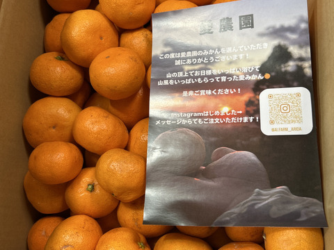 食べ過ぎ注意！山畑の有田みかん 10kg