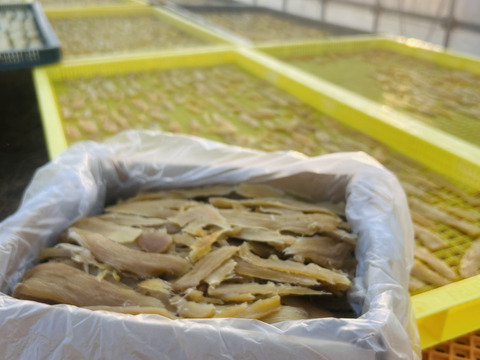 干し芋　べにはるか　2kg  端っこ　家庭用