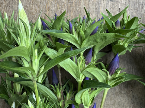 生産者が選ぶ20本　クール便