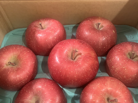 【一玉3,000円の極上りんご！】約３キロ 青森県産りんご「樹上完熟葉とらずふじ」上実・贈答用【冬ギフト】