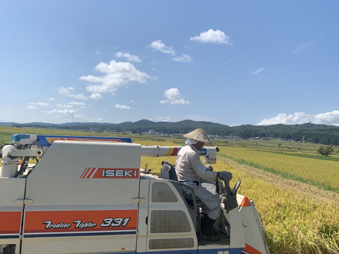 こんなに美味い‼️R7年『こしいぶき』‼️15キロ（玄米）※これで予約分最後です！