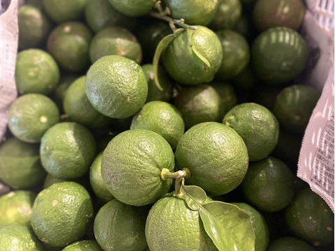 自然栽培かぼす５キロ【種なし】