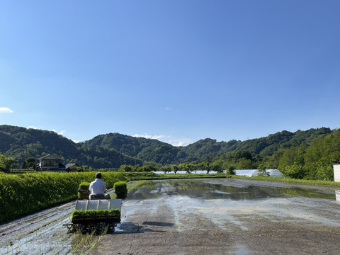 【新米・令和7年産】香る風味　信州安曇野産コシヒカリ　化学農薬・化学肥料不使用　白米5㎏