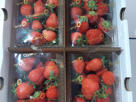 あまりん 加工用 200g以上×4