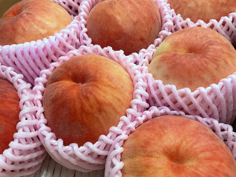 固い桃 おどろき 福島県伊達市産 3kg(9～11玉)