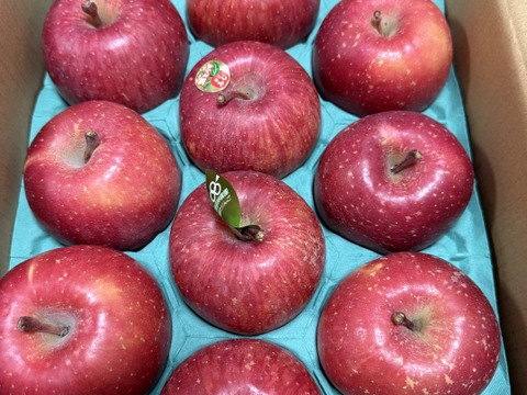 個性派りんご🍎葉隠れサンふじ  冬ギフトにもどうぞ（9個～12個）3キロ箱使用