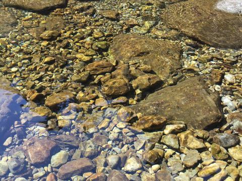 ★平均糖度10.5度！★完熟★名水育ち★究極のフルーツトマト「海部川のしずく」800g(6〜20個)　品種は驚きの桃太郎！