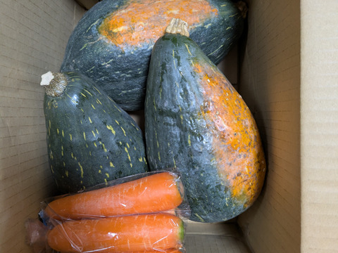 ねっとり甘い、万次郎かぼちゃ【2〜3玉】4.5キロ程度