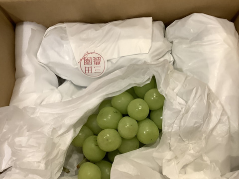 【期間限定セール】本当に美味しい！家庭用シャインマスカット🍇2kg(３房～4房)