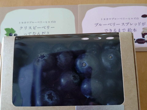 【期間限定販売！】極大粒！クリスピーベリー premium 100g×1pc