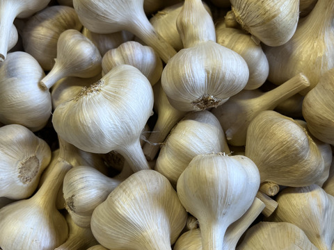 自慢のにんにくオーガニックホワイト六片 1 kg🧄有機栽培🌿Organic Garlic