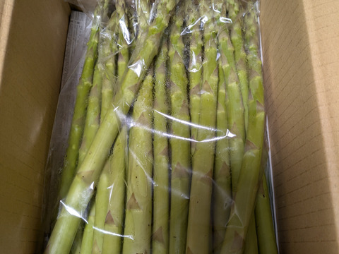 【朝採】アスパラガス 2Lサイズ A等級 １kg 【収穫当日発送】