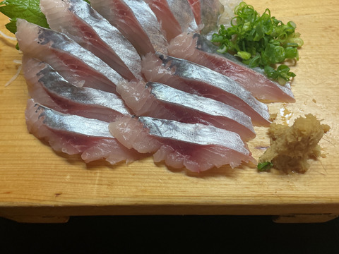 【驚きの声多数！】刺身で食べる活〆 生ニシン（4kg程度）