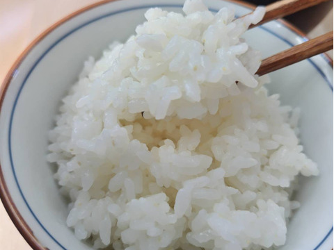 阿蘇五宮奉納米　5キロ