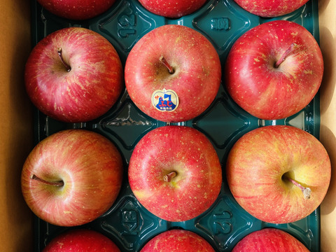 青森県産りんご　蜜入り　味に自信アリ『 人気の為りんご1個増量』
メディアやからお声が掛かり注文殺到！
糖度１３%以上　 家庭用　雪完熟極み葉とらずサンふじ
約３kg１２個入り