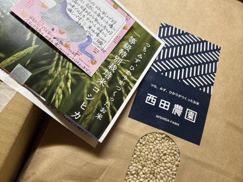 マンゲツモチ玄米１０ｋｇ【低農薬（80％以上削減）】特別栽培米　天然資材＆有機質肥料のみで育てました🌱米・穀類🥇１位受賞✨食べチョクAW2023【令和７年産】一等米✨