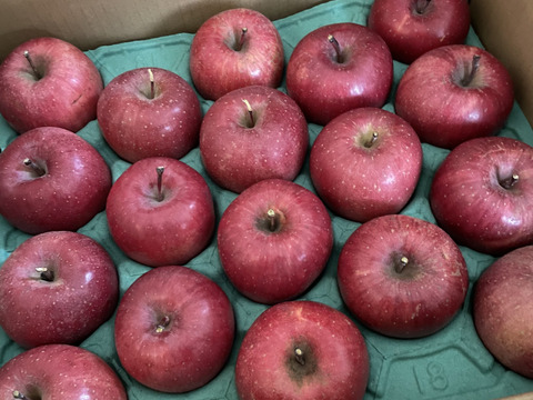 長野県認証栽培のサンふじ5ｋｇ