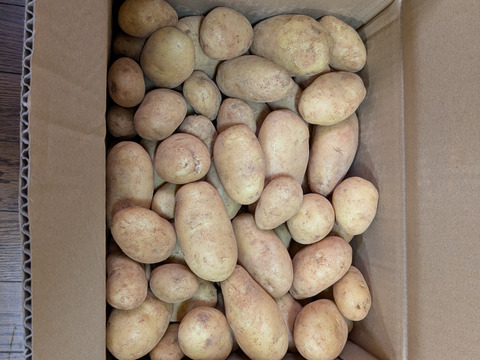沖永良部島産新じゃがいも 8キロ：鹿児島県産のホッカイコガネ｜食べ