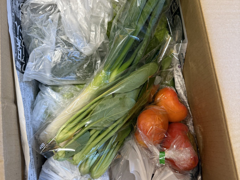 【福袋】ふれあい農園の野菜/漬物セット「充実セット」