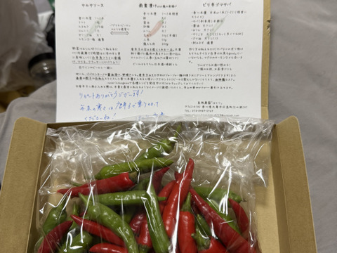 【生で食べてほしい！】幻の唐辛子「香川本鷹」の唐辛子(赤＆青ミックス300g)