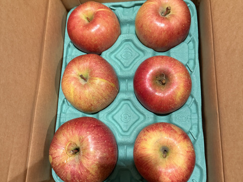 令和7年度産早期予約セール7%OFF大玉から順に発送‼️🍎青森県産葉取らず完熟ふじ約6kg家庭用‼️とことん味にこだわりました😊