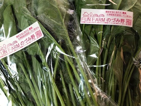 朝取り・新鮮【有機肥料 ハウス栽培】ほうれん草１㎏