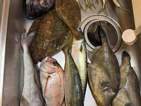 箱いっぱい！深浦の天然鮮魚セット（80サイズ）【母の日ギフト】などにもどうぞ！