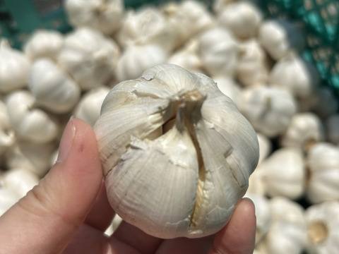 【ふくママFarm様注文品】岡山県産ニンニク約6kg　バラ ふくママFarm様注文品】岡山県産ニンニク約6kg バラ 楽天市場