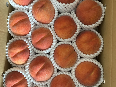 ワッサー　大家族様向き　　信州ならではの桃　訳あり　ご家庭専用コース　4.5キロ　予約受付中　8月上旬収獲・発送