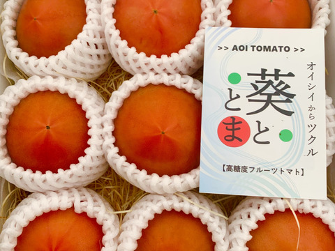【贈答用A】1.0kg 凝縮大玉塩フルーツトマト