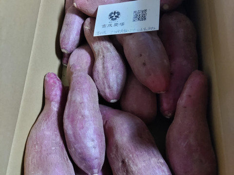 ほくほく食感と上品な甘さ！なると金時(訳あり)5kg