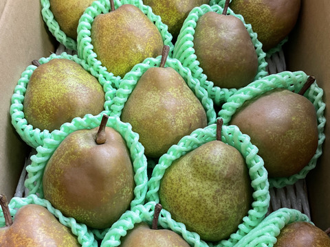 こだわり栽培 3kg ラ・フランス　家庭用　10〜18玉入り　生食・加工用どちらでも　山形県産西洋梨ラフランス