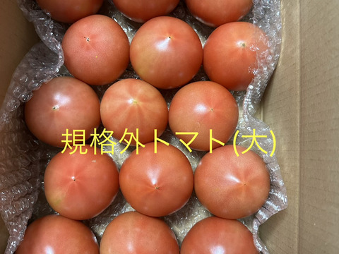 規格外大きめ★80サイズ箱詰め合わせ