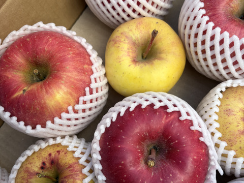 訳あり 大玉サンふじと小～中玉 ぐんま名月 5キロ箱  長野県産