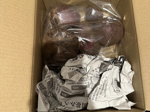 訳あり品【農薬・化学肥料不使用】MOA自然農法で育ったビーツ　1kg