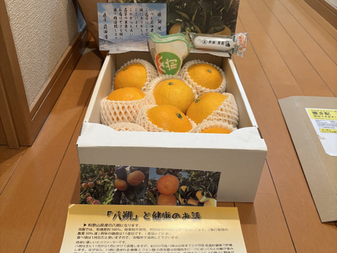 贈答用【特別栽培】和歌山県産　(特選)八朔(8個入り)【冬ギフト】