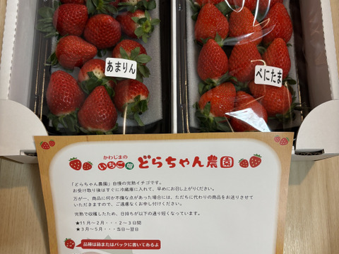 【あまりん・べにたま】食べ比べ２パック(500g)🍓