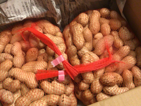 （2kg）茹でて最高の大粒落花生＜おおまさり＞