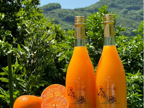 ひめのつきジュース なつみジュース セット 720ml 各1本入り