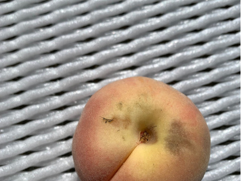 あかつき　桃　家庭用訳あり約5キロ22-28玉入　食べきりサイズがちょうどいい！