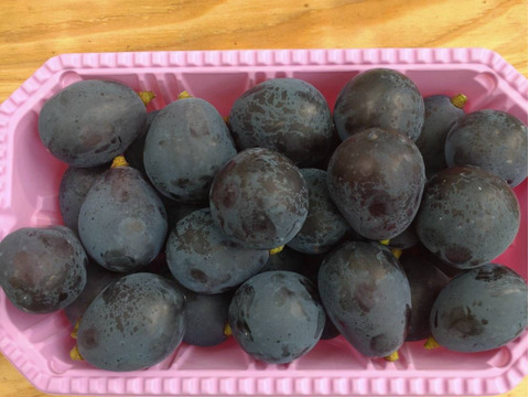 山形県産　ナガノパープル　500ｇ×2Ｐ