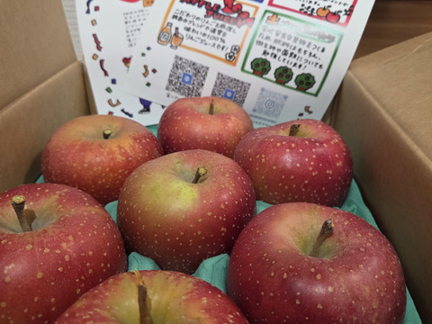 2026年度産予約開始🙇このりんご絶対食べて欲しい‼️甘くて芳醇な香り🍎千雪りんご3キロ