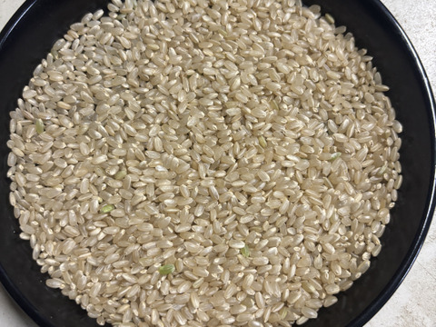 農薬・化学肥料不使用 お米「にじのきらめき」 令和7年産 5kg