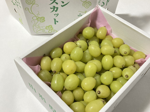 葡萄「シャインマスカット」　家庭用　約2kg